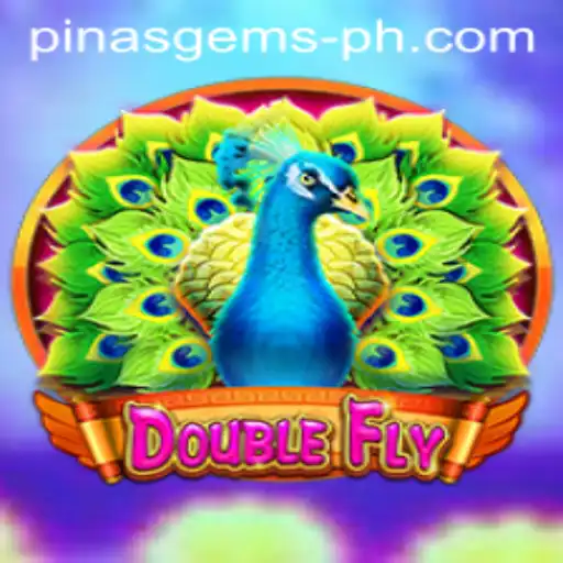 DoubleFly: A Thrilling Journey Through the Skies